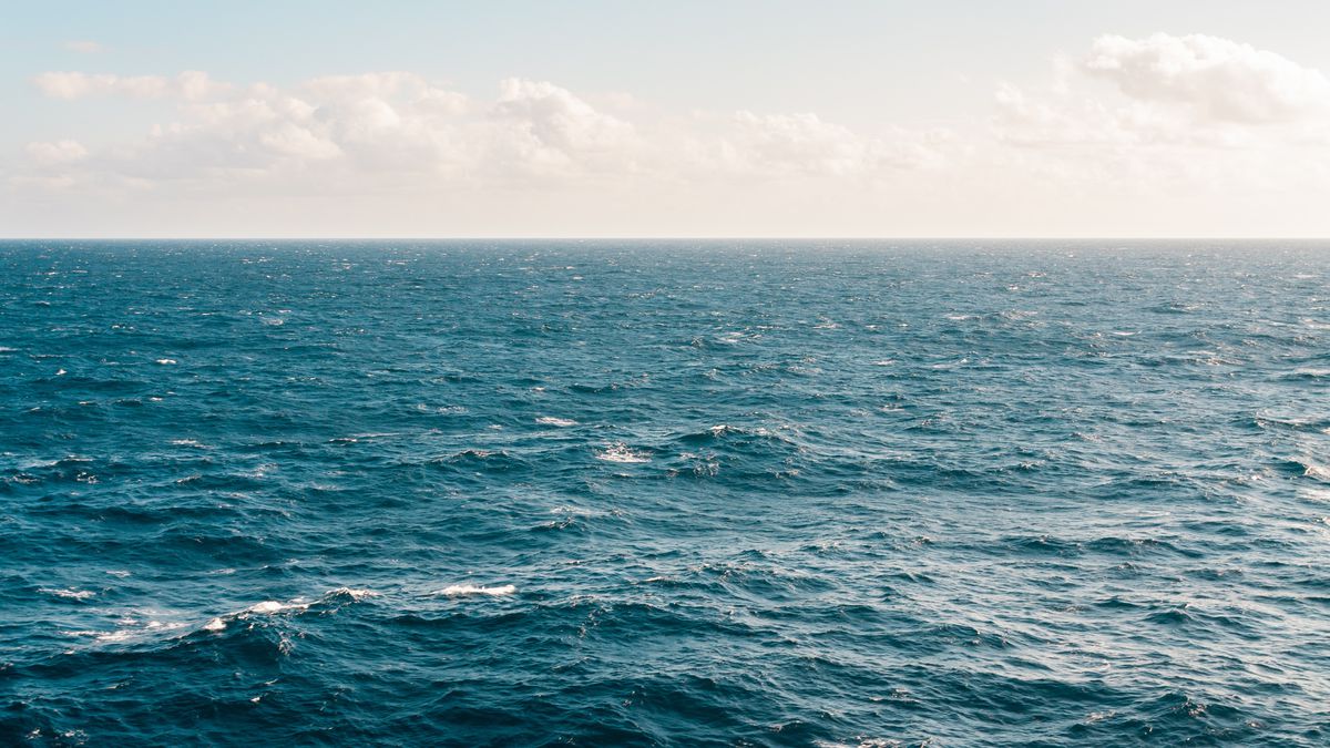 VISTA PARA O MAR